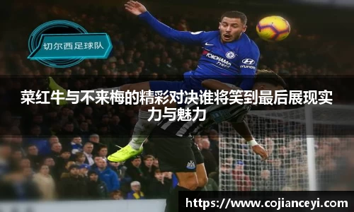 菜红牛与不来梅的精彩对决谁将笑到最后展现实力与魅力